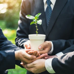 Multiple hands in business suits jointly holding a small potted plant symbolizing shared growth and teamwork